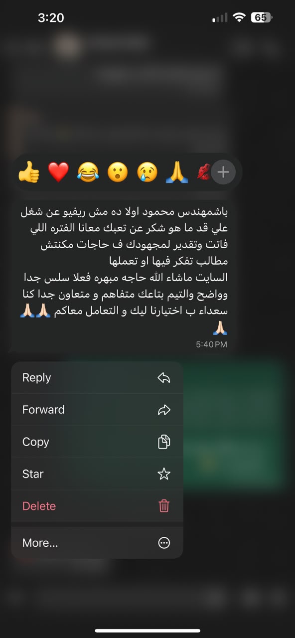 Client review message about the website build