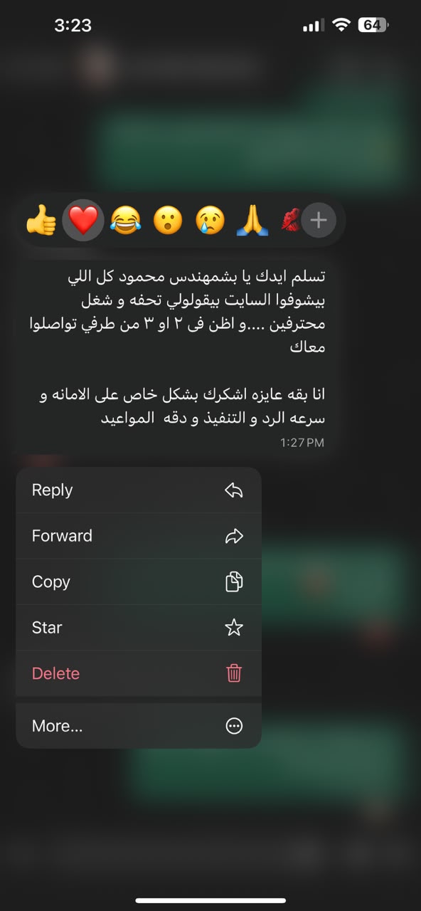 Client review message about the website build
